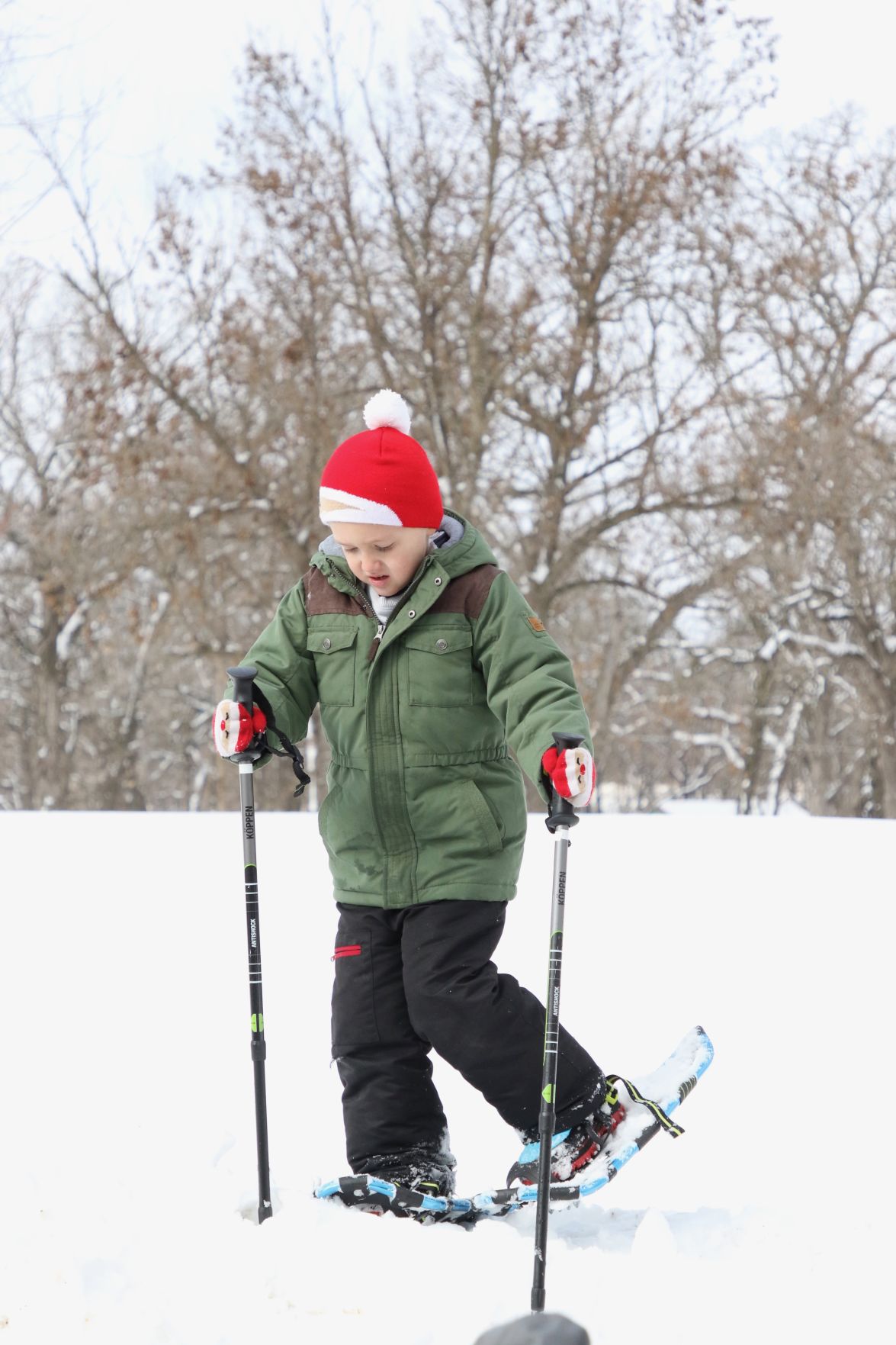 Snowshoe7.jpg